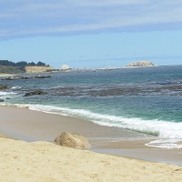 Foto de Algarrobo