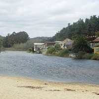 Foto de Algarrobo