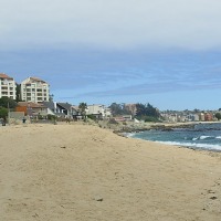 Foto de Algarrobo