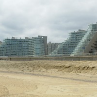 Foto de Algarrobo