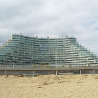 Foto de Algarrobo