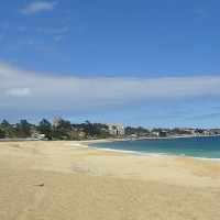 Foto de Algarrobo