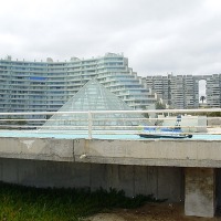 Foto de Algarrobo