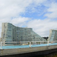 Foto de Algarrobo