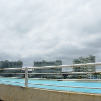 Foto de Algarrobo
