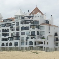 Foto de Algarrobo