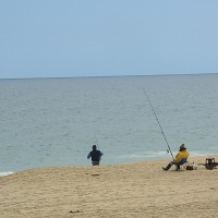 Foto de Algarrobo