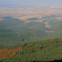Foto de Agramonte