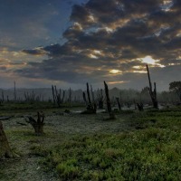 Foto de San Vicente de la Barquera