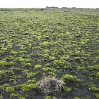 Foto de Islandia