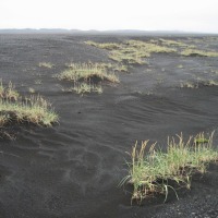 Foto de Islandia