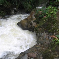 Foto de Santa Rosa de Cabal