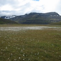 Foto de Islandia