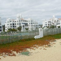 Foto de Algarrobo