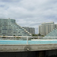 Foto de Algarrobo