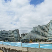 Foto de Algarrobo
