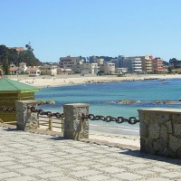 Foto de Algarrobo