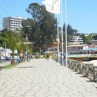 Foto de Algarrobo