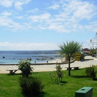 Foto de Algarrobo