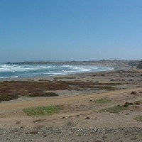 Foto de Carrizalillo