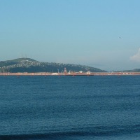 Foto de Lenga