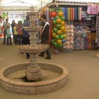 Foto de Algarrobo
