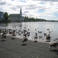 Foto de Reykjavik