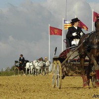 Foto de Trebujena