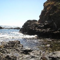Foto de Zipolite