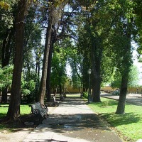 Foto de Curimon