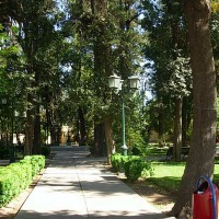 Foto de Curimon