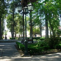 Foto de Curimon