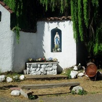 Foto de Curimon