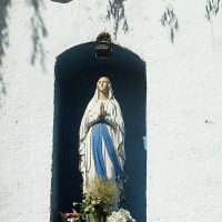 Foto de Curimon