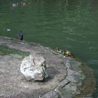 Foto de Oviedo