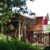 Foto de Guapiles