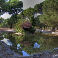 Foto de Zamora
