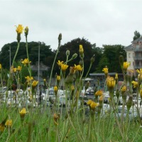 Foto de Athlone