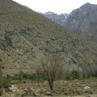 Foto de Alcohuaz