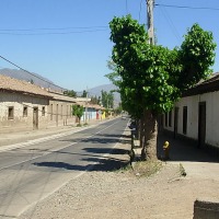 Foto de Curimon