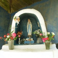 Foto de Colliguay