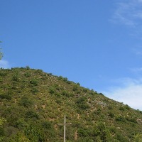 Foto de Colliguay