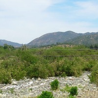 Foto de Colliguay
