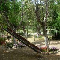 Foto de Colliguay
