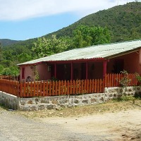 Foto de Colliguay
