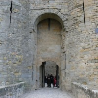 Foto de Carcassonne