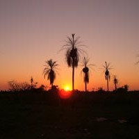 Foto de San Luis / Chore
