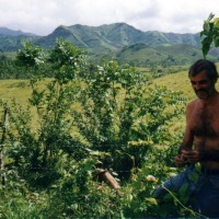 Foto de El Cuey