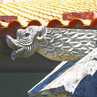 Foto de Batalha