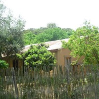 Foto de Colliguay